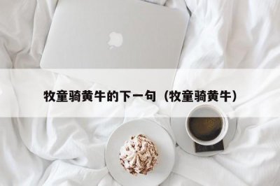 ​牧童骑黄牛的下一句（牧童骑黄牛）