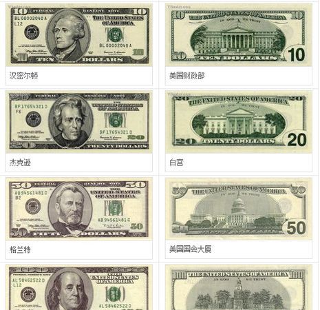 美元都有哪些面值美元的图片