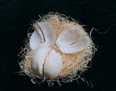 ​问美保鲜女人，到底有没有女性保鲜秘籍