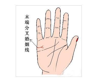 手相婚姻线图解分析（婚姻线图文详解）