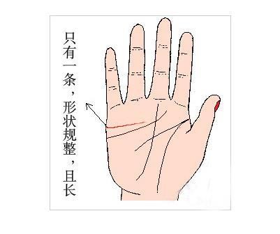 手相婚姻线图解分析（婚姻线图文详解）
