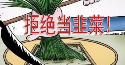 ​割韭菜是褒义还是贬义（割韭菜是被骗的意思吗）