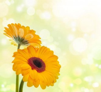 ​两个人是否相互喜欢，看这些“信号”就知道答案