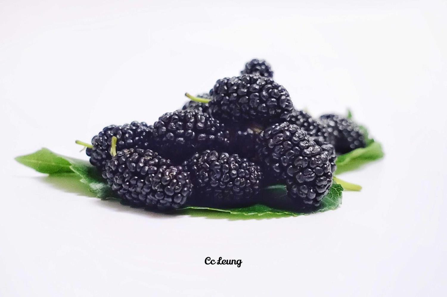 桑葚 桑葚