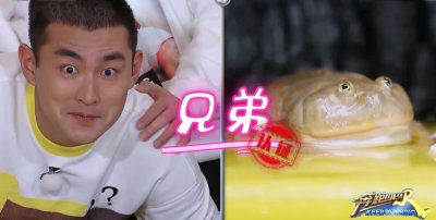 ​郑恺的真实身高曝光！宋雨琦一句话扎心郑恺，网友：耿直人设不倒