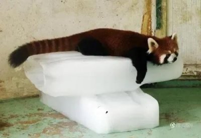 ​今天有风，明天有雨么？