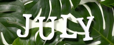 ​七月是盛夏还是仲夏