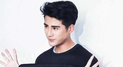 安徽的明星有哪些(安徽一线明星有哪些)  第9张