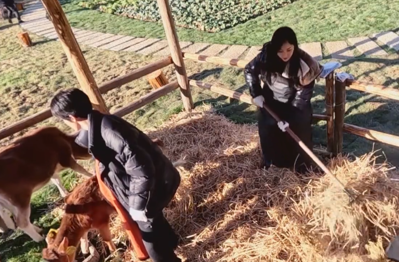 唐嫣产后复出身材纤细，正面否认切胃瘦身传闻，自认很无奈