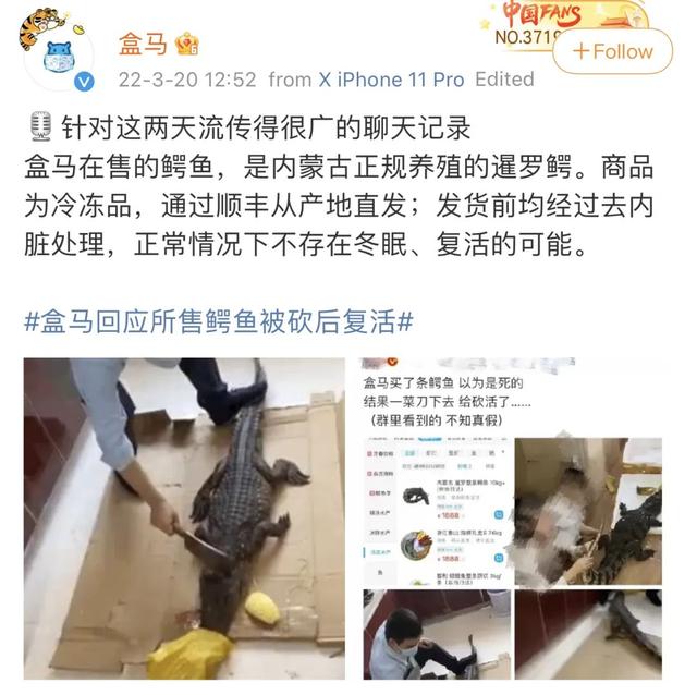 鳄鱼有毒到底有多严重（买回家的冻鳄鱼复活了）(6)