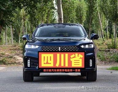 ​川w是四川的哪个市的车牌（川w是四川的哪个市的车牌美团）