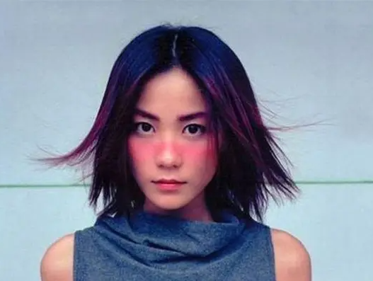 盘点宣布退出演艺圈的十大明星