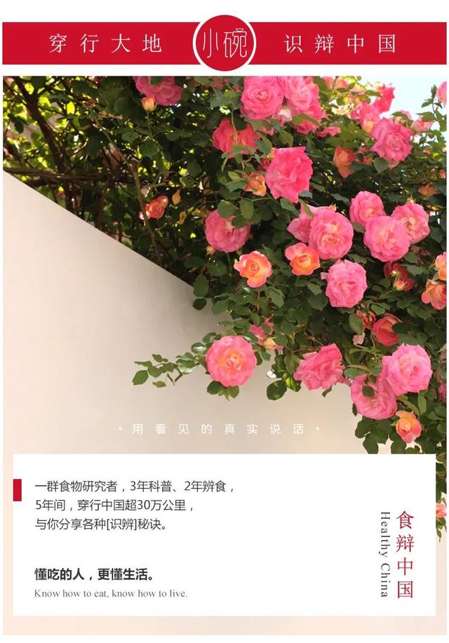 黄油正确吃法大全（黄油千万种吃法都很香）(1)