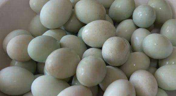 夏天腌咸鸭蛋会坏吗,夏天盐蛋很容易变质盐蛋如何保存不容易变质图4