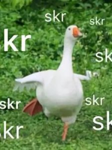 ​pyq什么意思(补补pyq什么意思)