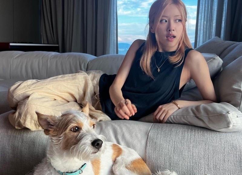 挽回因现实分开的前男友,如何运用话语拉近你们的距离? 挽回因现实分开的前男友,如何运用话语拉近你们的距离?