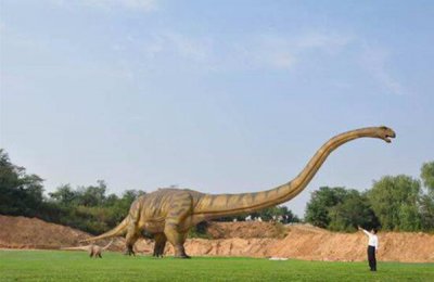 ​马门溪龙和腕龙的辨别 二者生计风俗没有共