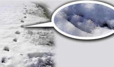 ​半人半兽的魔怪足迹，科学家猜测盘古巨猿并没真实毁灭