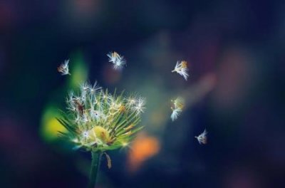 ​驭鲛记猫妖是哪位？演的此沙的学生剧照让人惊讶