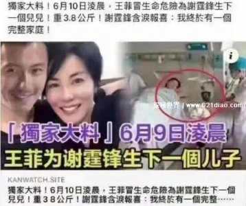 ​谢霆锋王菲发文宣布产女，谣传(两人是将锋味当做孩子共同经营)