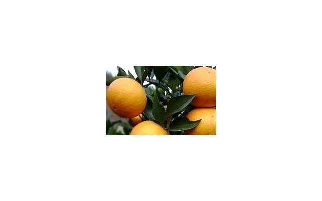  婆婆已经影响到我的婚姻了