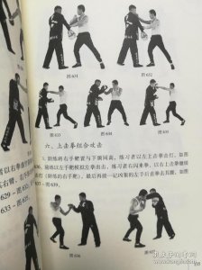 ​截拳道拳法教学