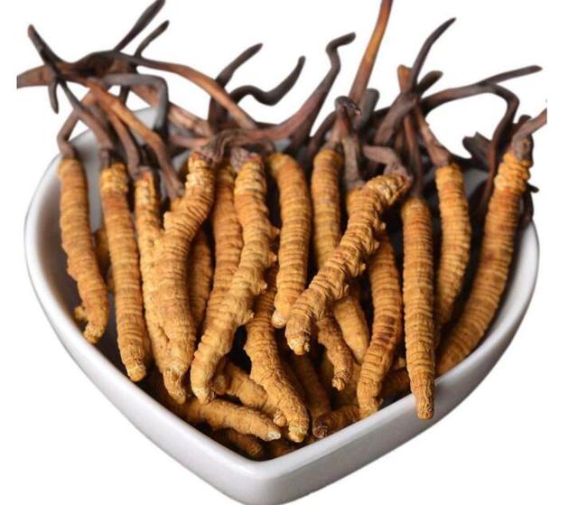 冬虫草营养最高的部分（虫草就是冬虫夏草）(1)