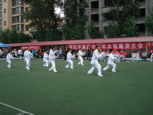 杨氏24式简化带口令（24式简化太极拳拳谱）(4)