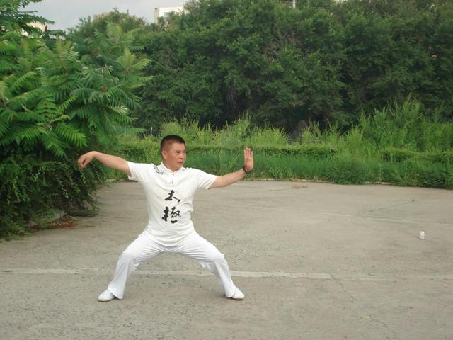 杨氏24式简化带口令（24式简化太极拳拳谱）(5)