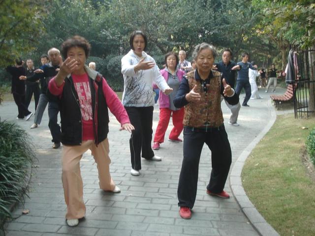 杨氏24式简化带口令（24式简化太极拳拳谱）(3)