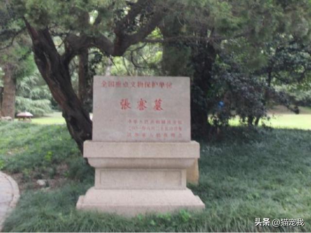 张謇生平简介（张謇41岁中状元因守护红颜知己）(11)