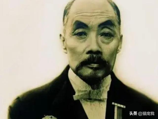 张謇生平简介（张謇41岁中状元因守护红颜知己）(6)