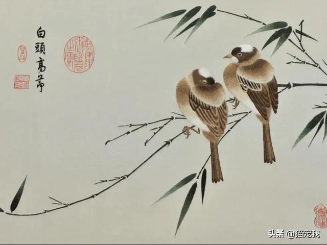 张謇生平简介（张謇41岁中状元因守护红颜知己）(5)