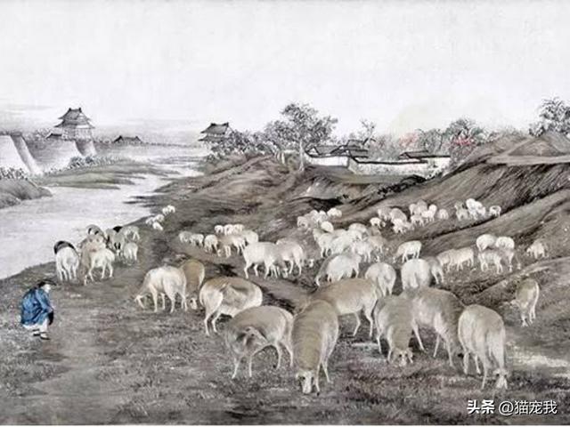 张謇生平简介（张謇41岁中状元因守护红颜知己）(4)