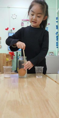 有趣的实验作文(有趣的实验作文300字)-第1张图片-