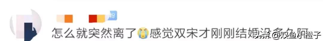 宋慧乔公布与宋仲基离婚原因(疑似因宋仲基出轨)(4)