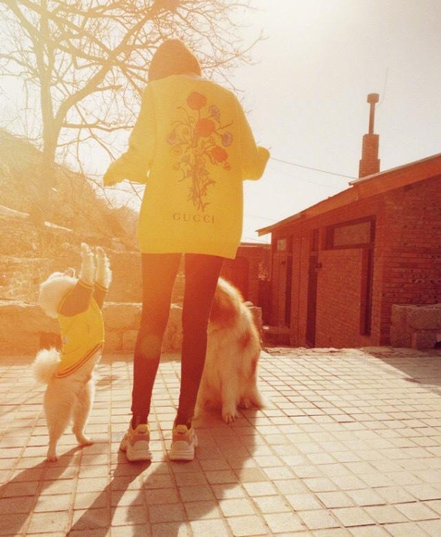 张若昀、唐艺昕的八年低调爱情开花结果,他们的故事比童话还甜