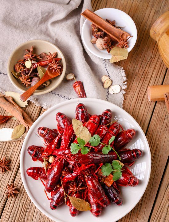 中国卤菜之乡,武冈卤菜和四川卤菜哪个好吃?图3