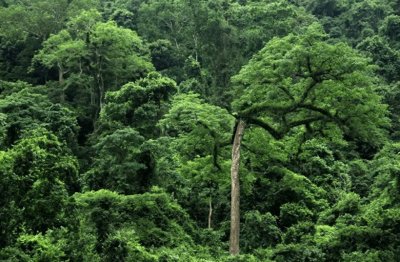 ​蟒蛇吃人并非谣言，45岁妇女被5米长蟒蛇吞食，它就在我们身边！