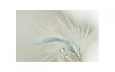 ​团宠型女生的特点，符合这4点必然成团宠女生(什么样的女生会成为团宠)