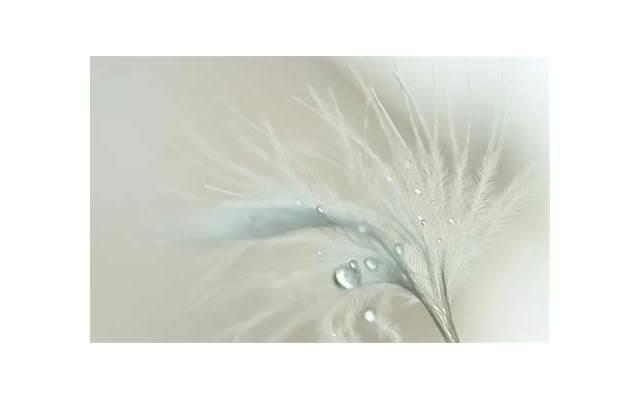 团宠型女生的特点,符合这4点必然成团宠女生(什么样的女生会成为团宠) 团宠型女生的特点,符合这4点必然成团宠女生(什么样的女生会成为团宠)