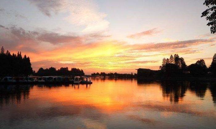 活在武汉传说中的十辆公交车——全部坐过的你们命真硬啊!