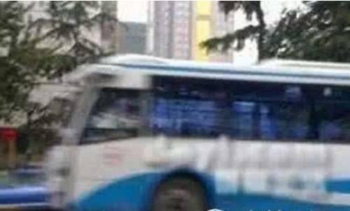 活在武汉传说中的十辆公交车——全部坐过的你们命真硬啊!