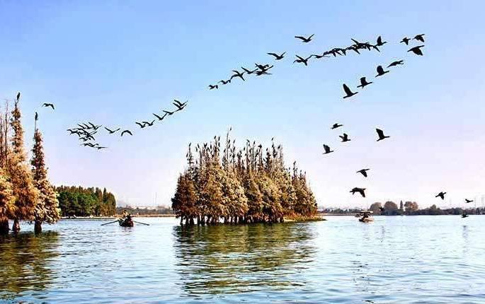 活在武汉传说中的十辆公交车——全部坐过的你们命真硬啊!