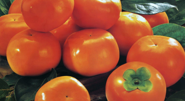 柿子属性归经,柿子有哪些功效和作用?图5