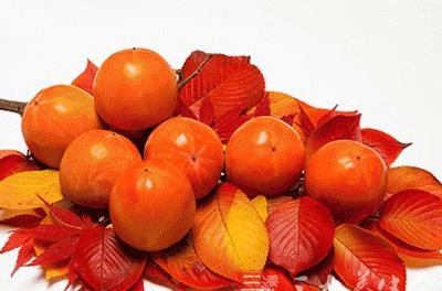 柿子的营养价值有哪些不能和哪些东西一起吃呢