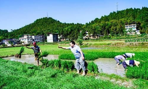 小满是什么季节,小满是个什么样的节气?图9