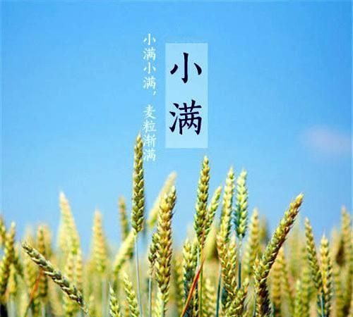 小满是什么季节,小满是个什么样的节气?图1