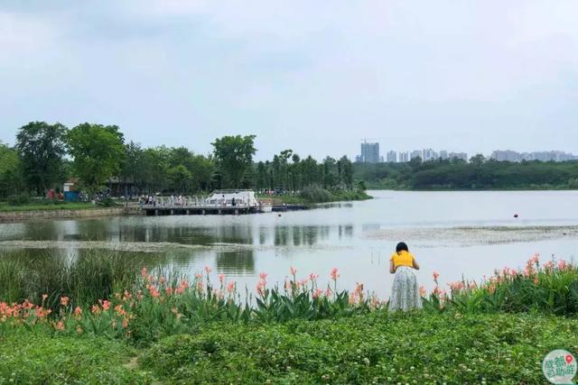 成都墨石公园攻略(不要门票免费耍)(2)