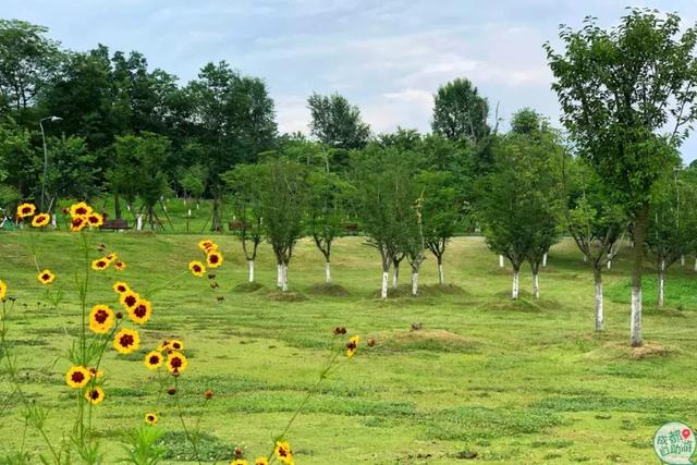 成都墨石公园攻略(不要门票免费耍)(3)